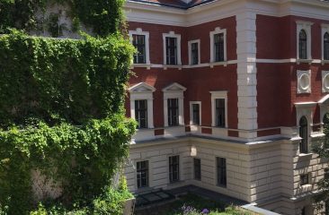 Plantainer Climber wall and biodiverse Greenroof, Vienna