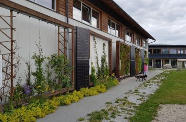 Exhibition Green on walls, Lower Austria