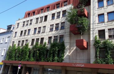 Plantainer Climber wall, Graz