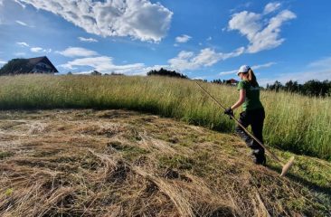 Nature conservation action at home