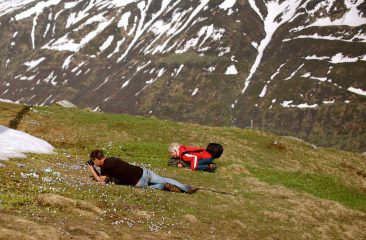 Plant research in the alpine region, CH