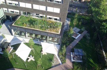 Intensive Greenroof and Birdhabitat, Budapest