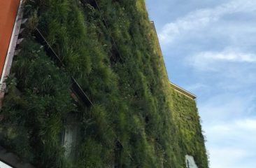 Early stage product development, Living wall, Vienna