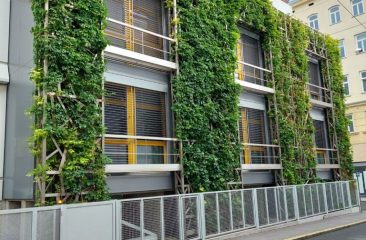 Ground-based Climber Wall, Vienna